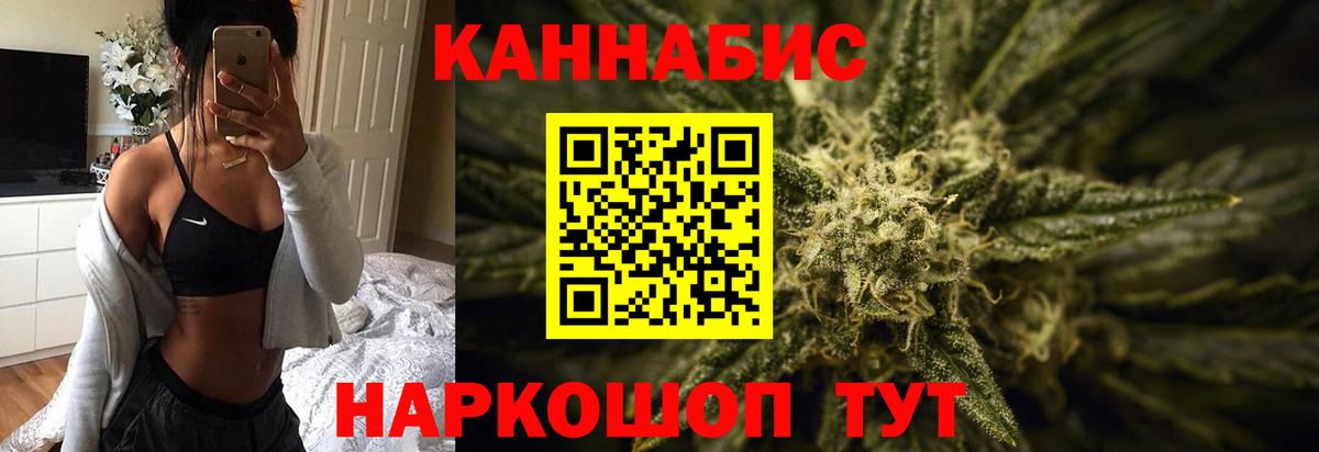 Каннабис White Widow  Конопля планчик  Конопля план  Вход с VPN  Отрадное 
